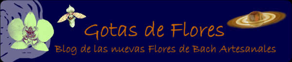 Blog de Gotas de Flores - Nuevas Flores de Bach Artesanales - Terapia esencial - Jose Salmeron